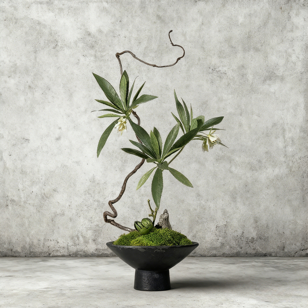 Handmade Preserved Moss Bonsai With Natural Wood Branch Arrangement with Ceramic Vase. Zen Decor for Home & Office, Indoor Plant Gift