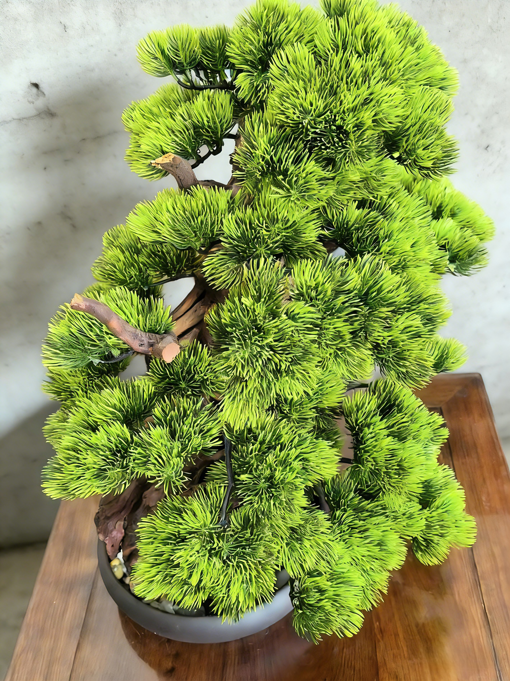 Handmade Bonsai Tree Art With Natural Wood And Ceramic Vase, Centerpieces Decoration For Home, Table, Office. Indoor Plant Gift